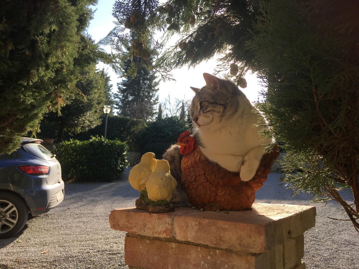 Agriturismo Casa Vecchia Konuk evi Cetona Dış mekan fotoğraf